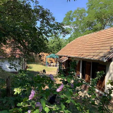 Kisszoeloe * Szolosgyorok