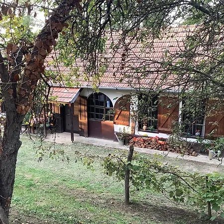 Kisszoeloe Lejlighed Szolosgyorok