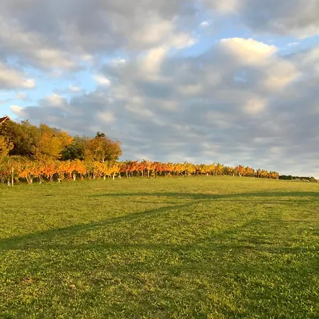 Kisszoeloe * Szolosgyorok