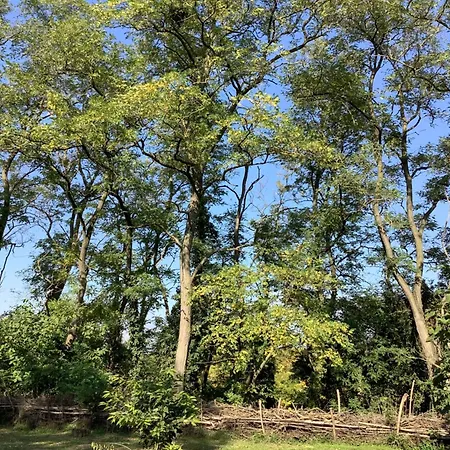 Kisszoeloe شقة Szolosgyorok