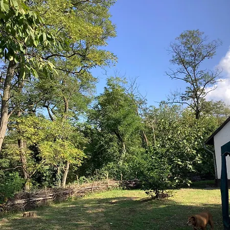 Kisszoeloe * Szolosgyorok