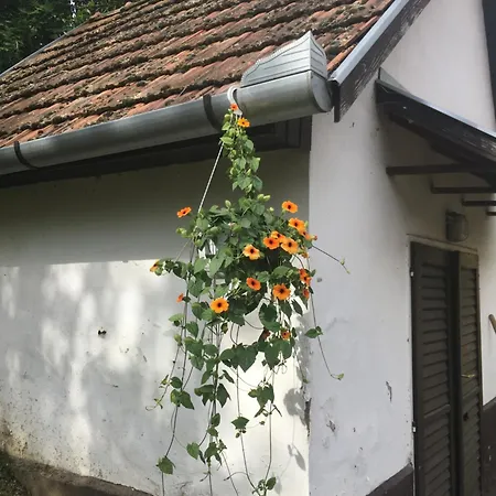 Kisszoeloe Szolosgyorok