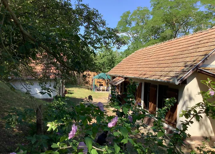 Kisszoeloe * Szolosgyorok