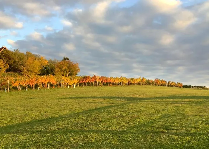 Kisszoeloe * Szolosgyorok