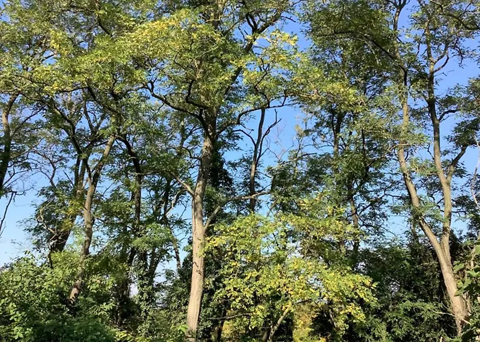 Kisszoeloe דירה Szolosgyorok