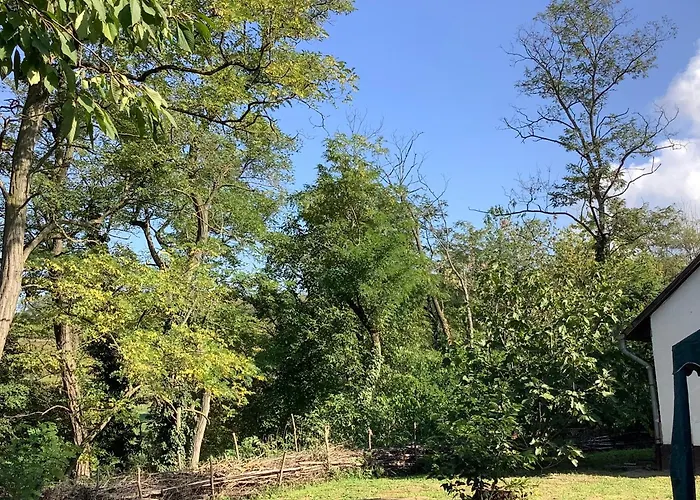 Kisszoeloe * Szolosgyorok